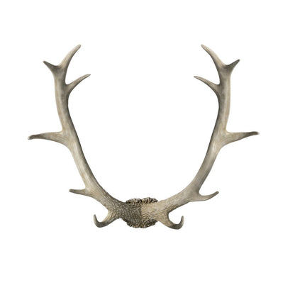 Bjorn Antler White Wall Art