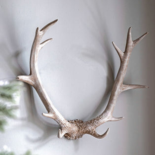 Bjorn Antler White Wall Art