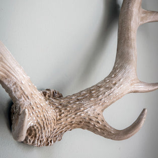 Bjorn Antler White Wall Art