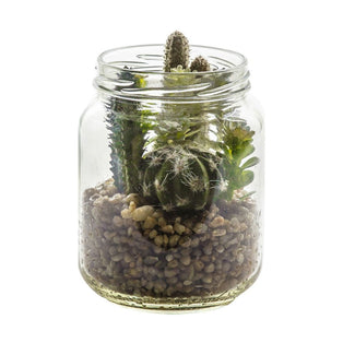 Glass Jar Succulent