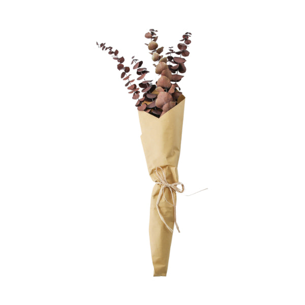 Dried Eucalyptus Bundle Purple