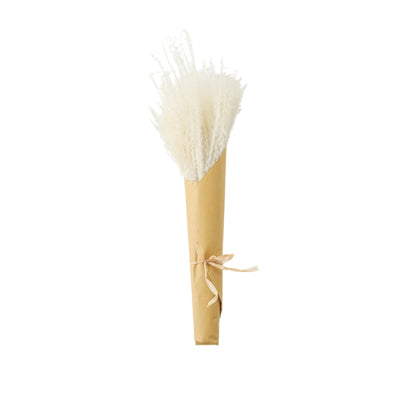 DRIED REED GRASS BUNDLE WHITE