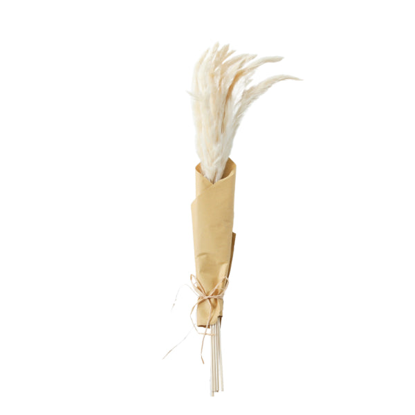 DRIED REED GRASS WHITE