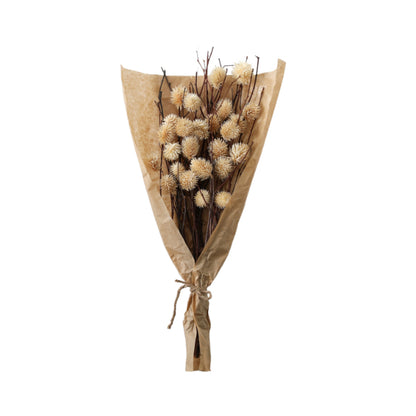 Dried Thistle Bundle in Paper Wrap Natural Large