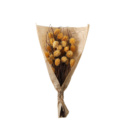 DRIED THISTLE BUNDLE OCHRE LARGE