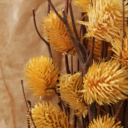 DRIED THISTLE BUNDLE OCHRE LARGE