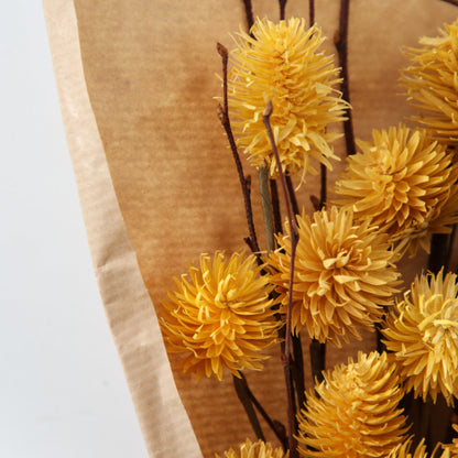 DRIED THISTLE BUNDLE OCHRE SMALL