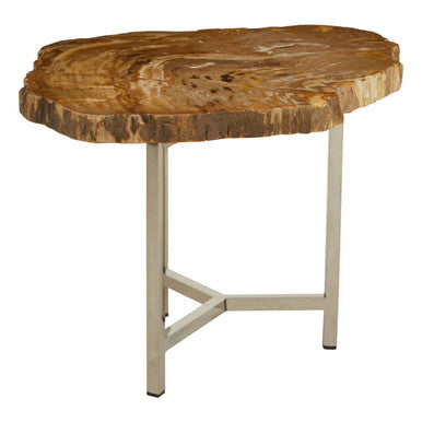 Relic Natural Petrified Wood Small Side Table