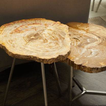 Relic Natural Petrified Wood Small Side Table