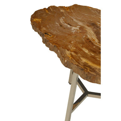 Relic Natural Petrified Wood Small Side Table