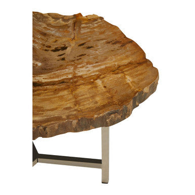 Relic Natural Petrified Wood Small Side Table