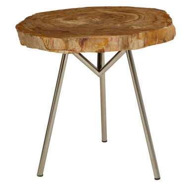 Relic Natural Petrified Wood Medium Side Table