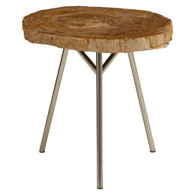 Relic Natural Petrified Wood Medium Side Table