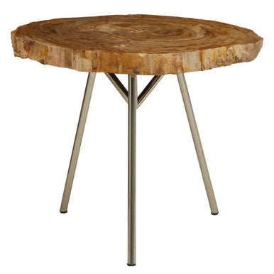 Relic Natural Petrified Wood Medium Side Table