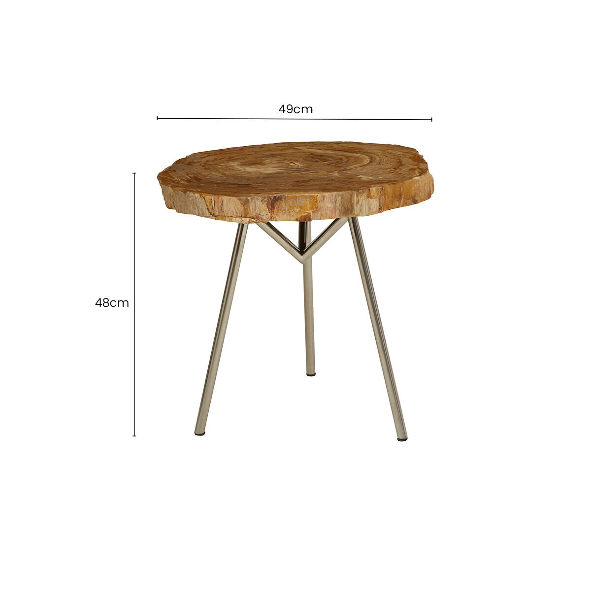 Relic Natural Petrified Wood Medium Side Table