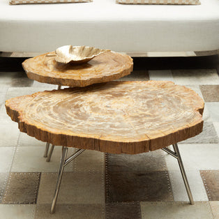 Relic Natural Petrified Wood Medium Side Table