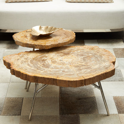 Relic Natural Petrified Wood Medium Side Table
