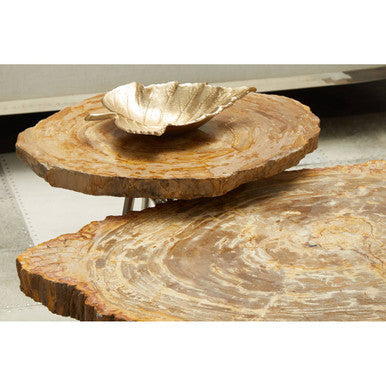 Relic Natural Petrified Wood Medium Side Table