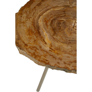 Relic Natural Petrified Wood Medium Side Table