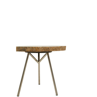 Relic Natural Petrified Wood Medium Side Table