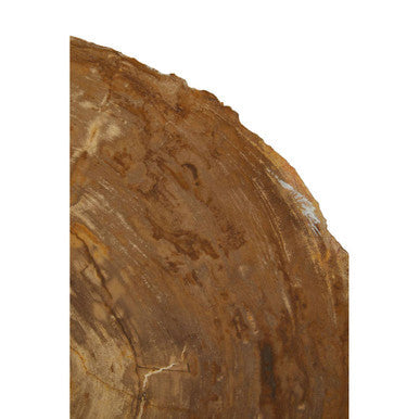 Relic Natural Petrified Wood Medium Side Table