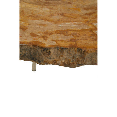 Relic Natural Petrified Wood Medium Side Table