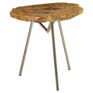 Relic Natural Petrified Wood Side Table with Live Edge