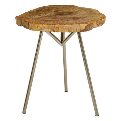 Relic Natural Petrified Wood Side Table with Live Edge