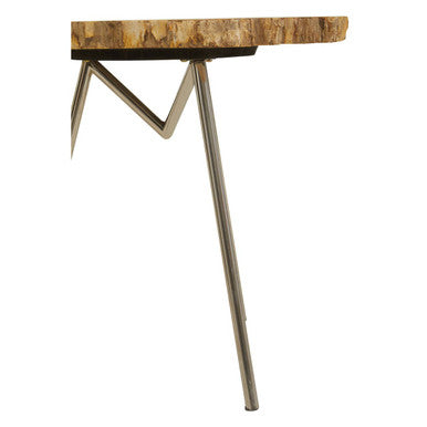 Relic Natural Petrified Wood Side Table with Live Edge