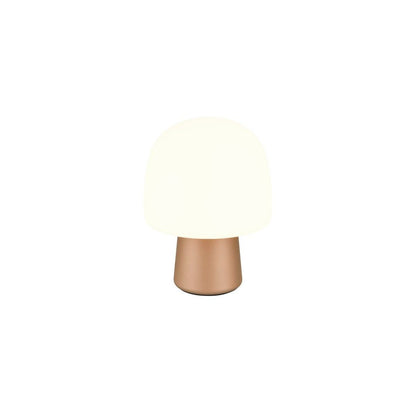 Steen Bronze Table Lamp