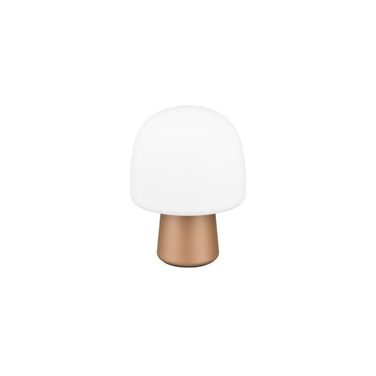 Steen Bronze Table Lamp