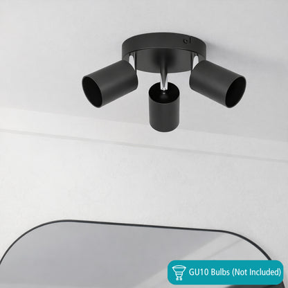 Reciso-e 3-Light Black Spot Plate Light