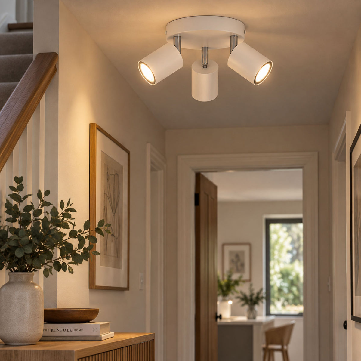 Reciso-e 3-Light White Spot Plate Light