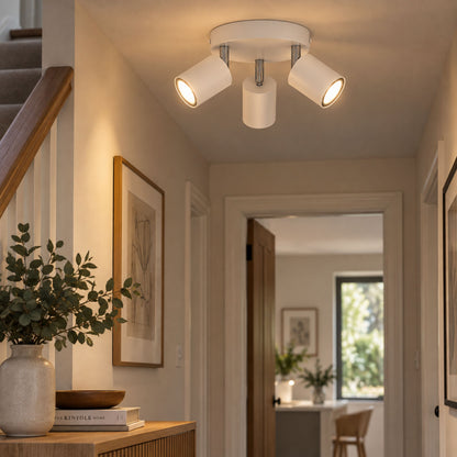 Reciso-e 3-Light White Spot Plate Light