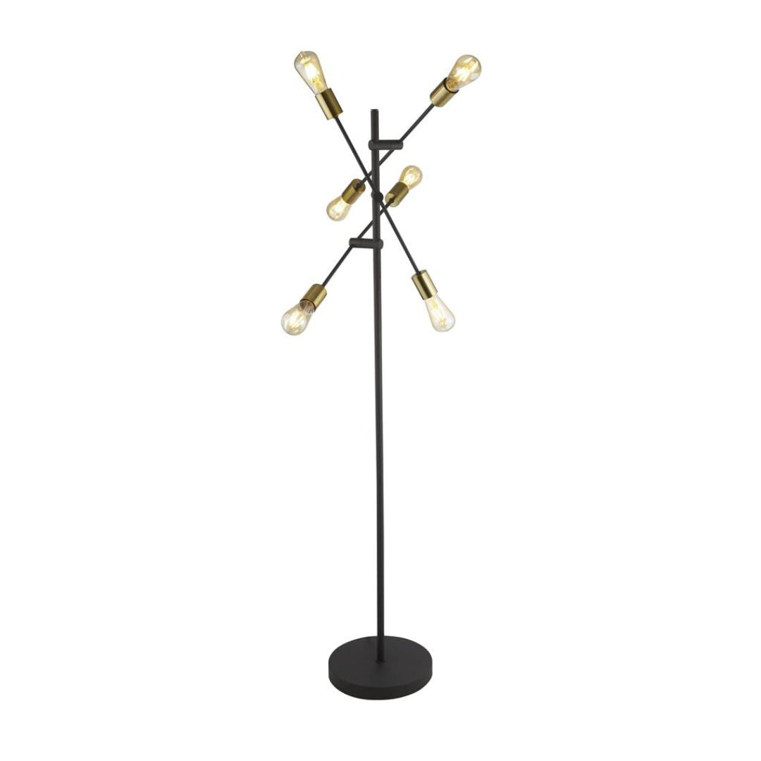 Armstrong  6 Light Black & Satin Brass Metal Floor Lamp