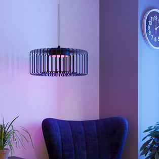 Ginestrone-z Black LED Ceiling Pendant