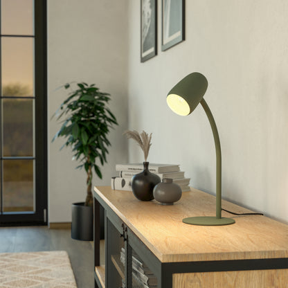 Carlo Green Table Lamp