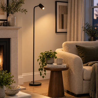 Rigomagno Black Task Floor Lamp