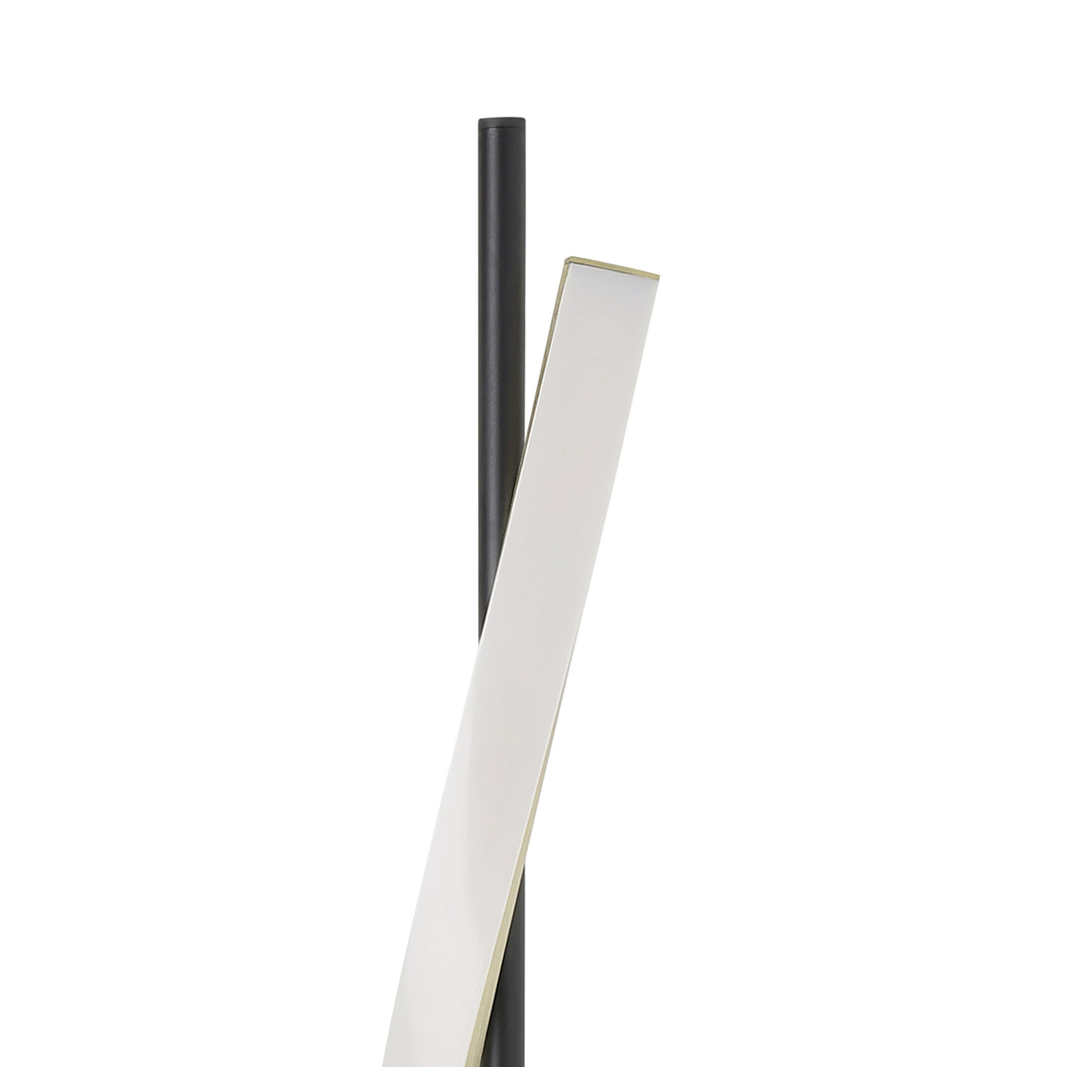 Conaprato Black LED Floor Lamp