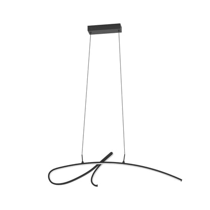 Cardoncito Black LED Ceiling Pendant