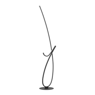 Cardoncito Black LED Floor Lamp