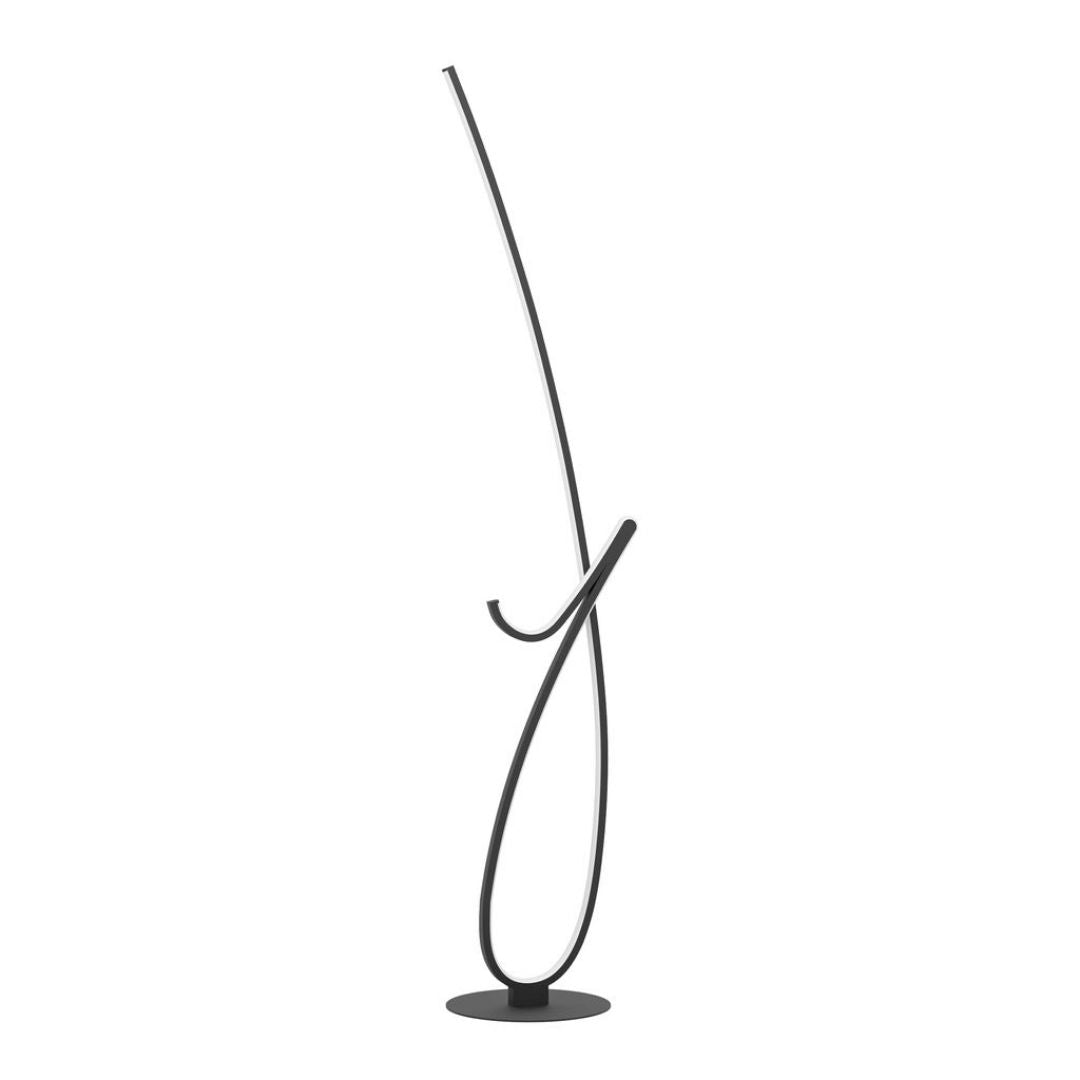 Cardoncito Black LED Floor Lamp