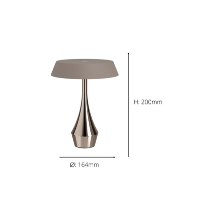 Turcio Bronze LED Table Lamp