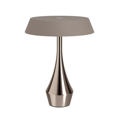 Turcio Bronze LED Table Lamp