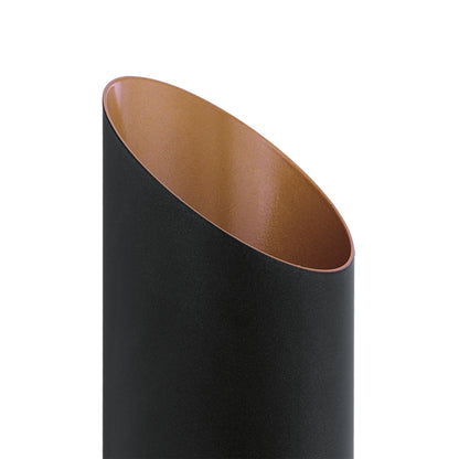 Agolada 2-Light Black LED Outdoor Wall Light