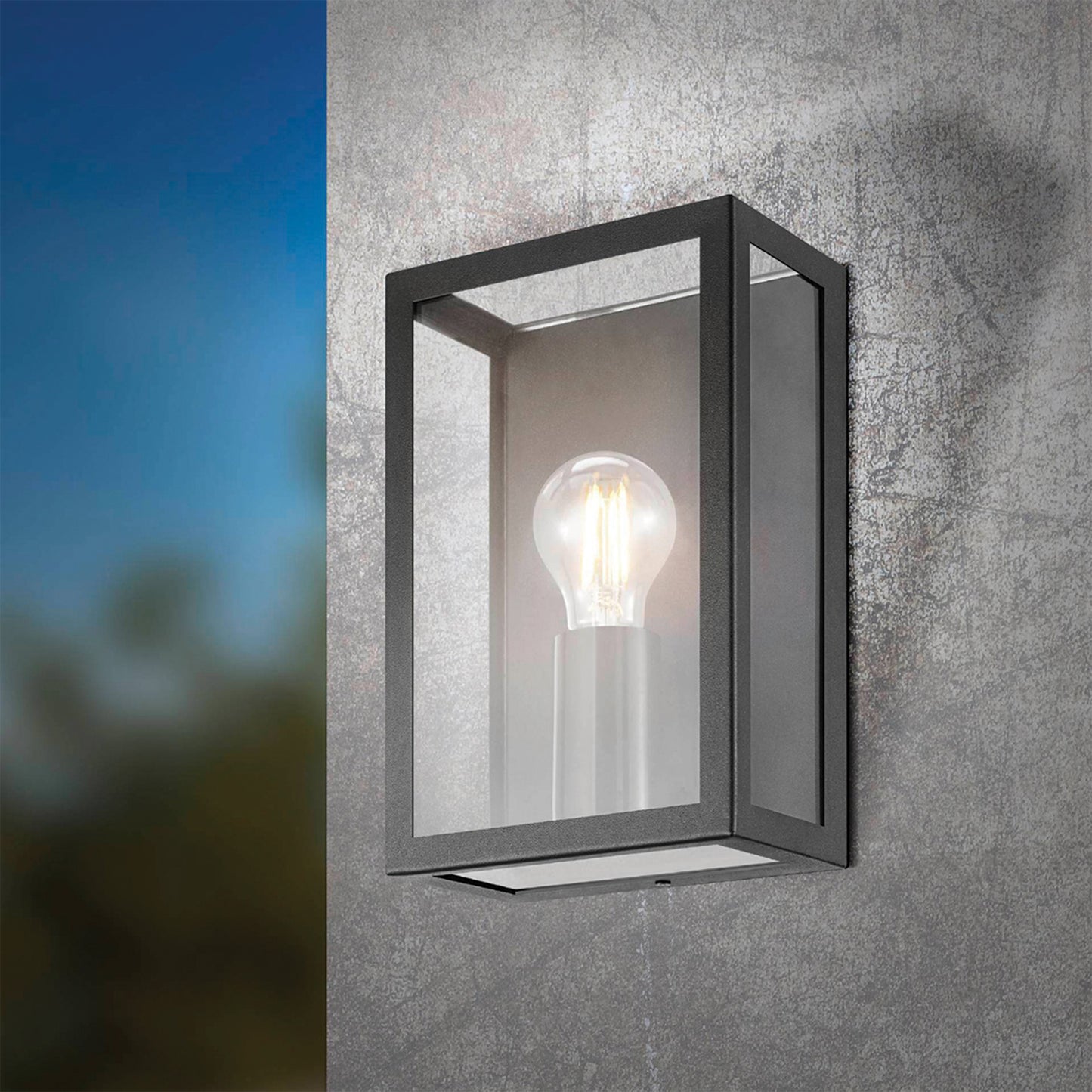 Alamonte Black Outdoor Wall Light