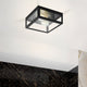 Amezola 2 light Flush Ceiling Light