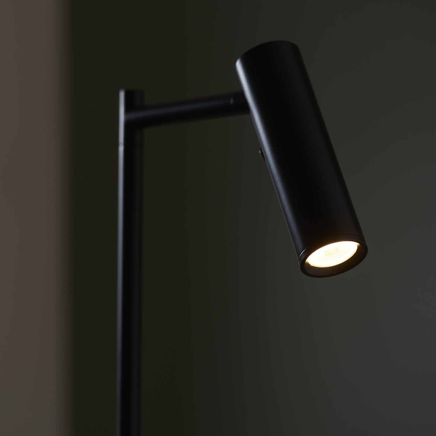 Dedicated Reader Task Floor Lamp Black