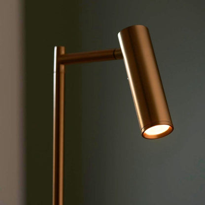 Dedicated Reader LED Gold Task Floor Lamp