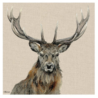 Percival 60x60cm Canvas